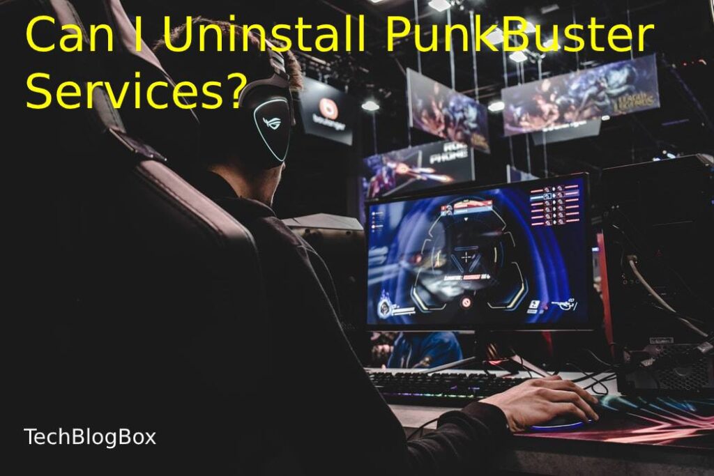 PunkhBuster Services