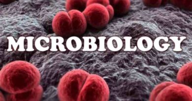 What kind of jobs can you get after earning a degree in M.Sc. Microbiology?