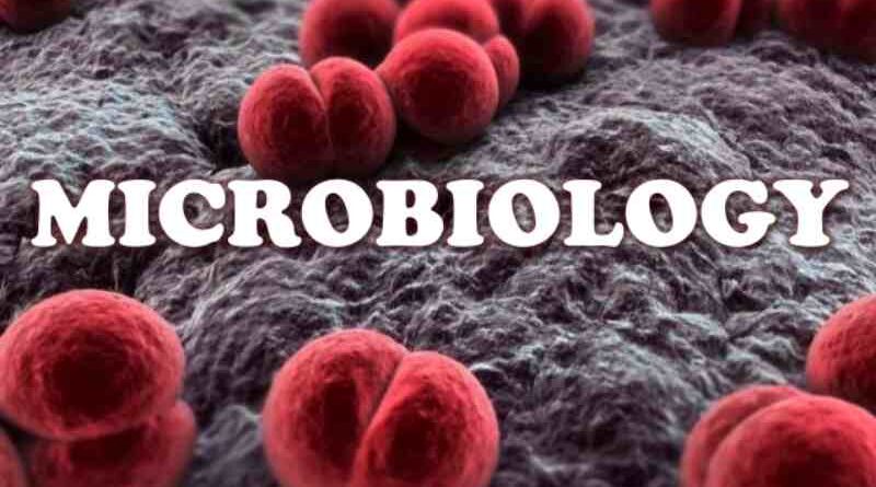 What kind of jobs can you get after earning a degree in M.Sc. Microbiology?