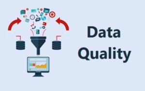 All You Need To Know About Data Quality?