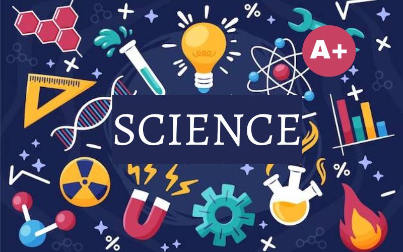 What Is The Process To Follow For Scoring Well In Science?