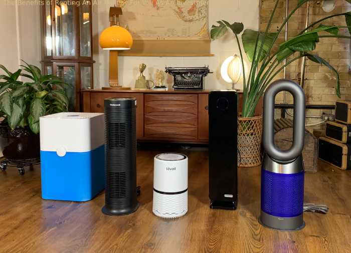 The Benefits of Renting An Air Purifier For You As An Investment