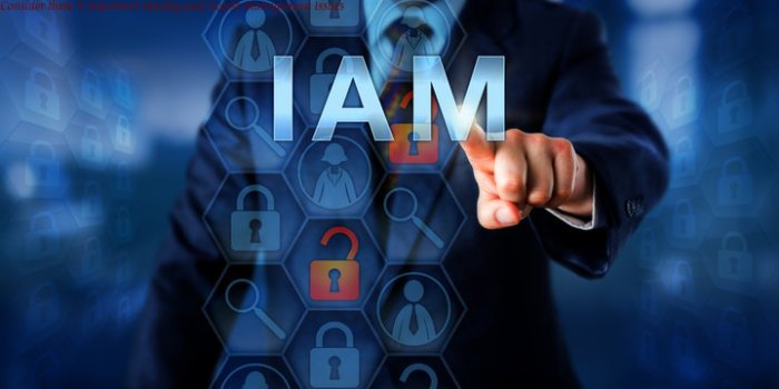 Consider these 5 Important Identity and Access Management Issues