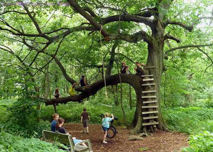 Playing in Nature: Exciting Outdoor Activities