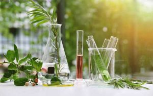 Introduction to Natural Products, Their Chemistry, and More